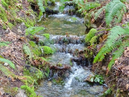 smallwaterfall