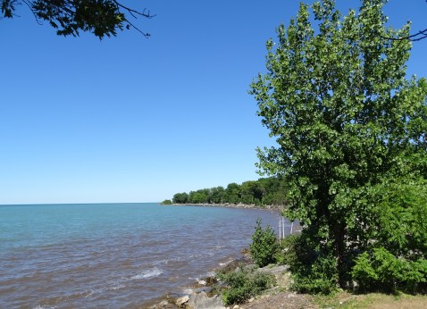 Lake Huron Shore