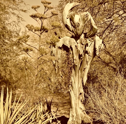 statueingarden sepia