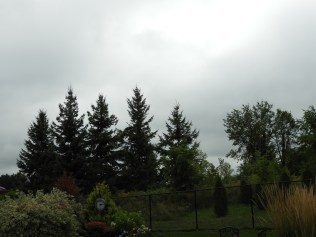 sun breaking through