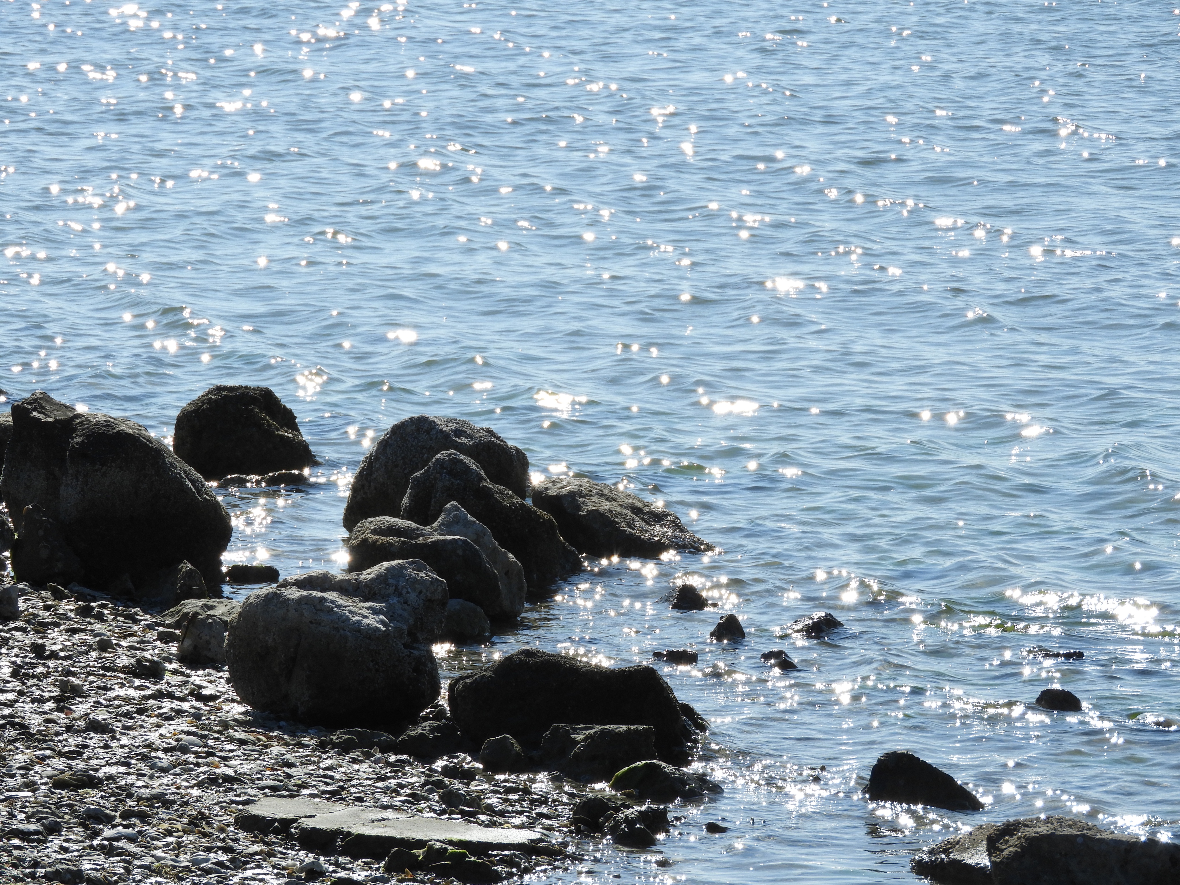 Indian Point Park – One Woman's Quest II